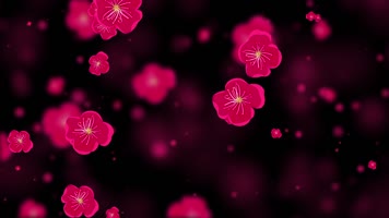 唯美梅花粒子背景视频