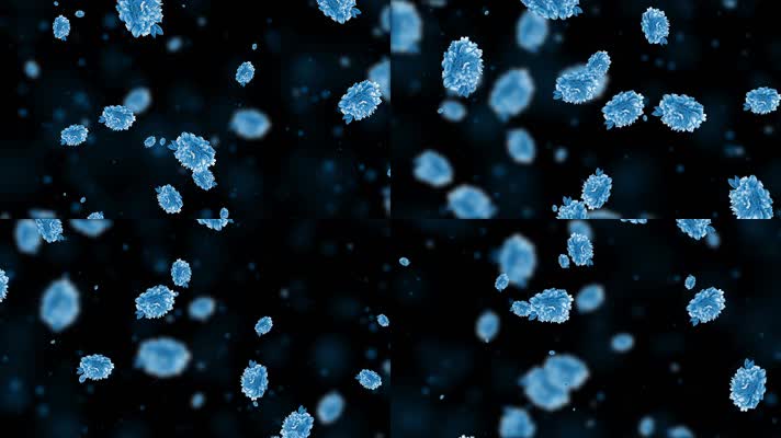 唯美蓝色牡丹花粒子背景视频 唯美蓝色牡丹花粒子背景视频