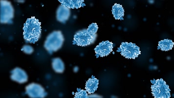 唯美蓝色牡丹花粒子背景视频 唯美蓝色牡丹花粒子背景视频