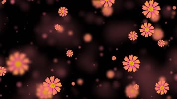 唯美菊花粒子背景视频