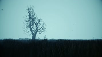 万圣节恐怖田野穿梭