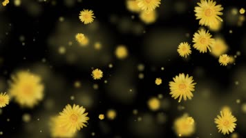 唯美菊花花瓣粒子背景视频 唯美菊花花瓣粒子背景视频