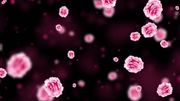 唯美粉色月季粒子背景视频