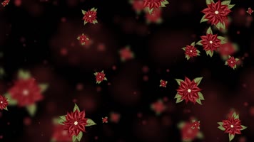 唯美暗红色长寿花粒子背景视频 唯美暗红色长寿花粒子背景视频