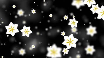 梦幻栀子花屏幕背景视频