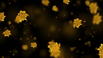 唯美曼陀罗花粒子背景视频 唯美曼陀罗花粒子背景视频