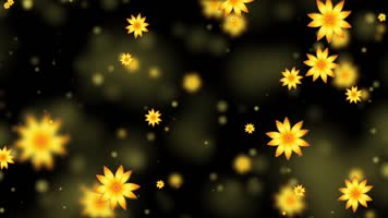 梦幻金色桂花屏幕背景视频