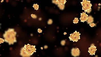 梦幻金色富贵牡丹屏幕背景视频