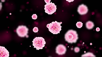 唯美牡丹花粒子背景视频