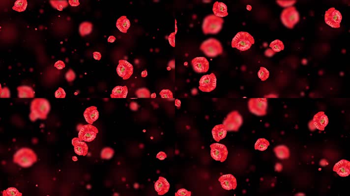 梦幻虞美人屏幕背景视频