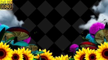 蝴蝶 画框 转场 包装 片头  