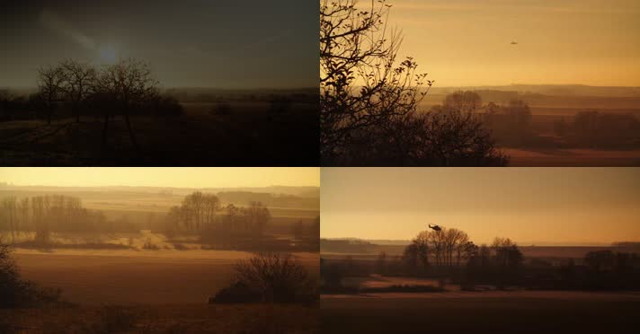 直升飞机，直升机剪影