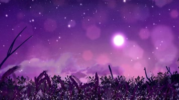 紫色唯美-4K