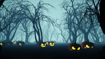 万圣节南瓜森林