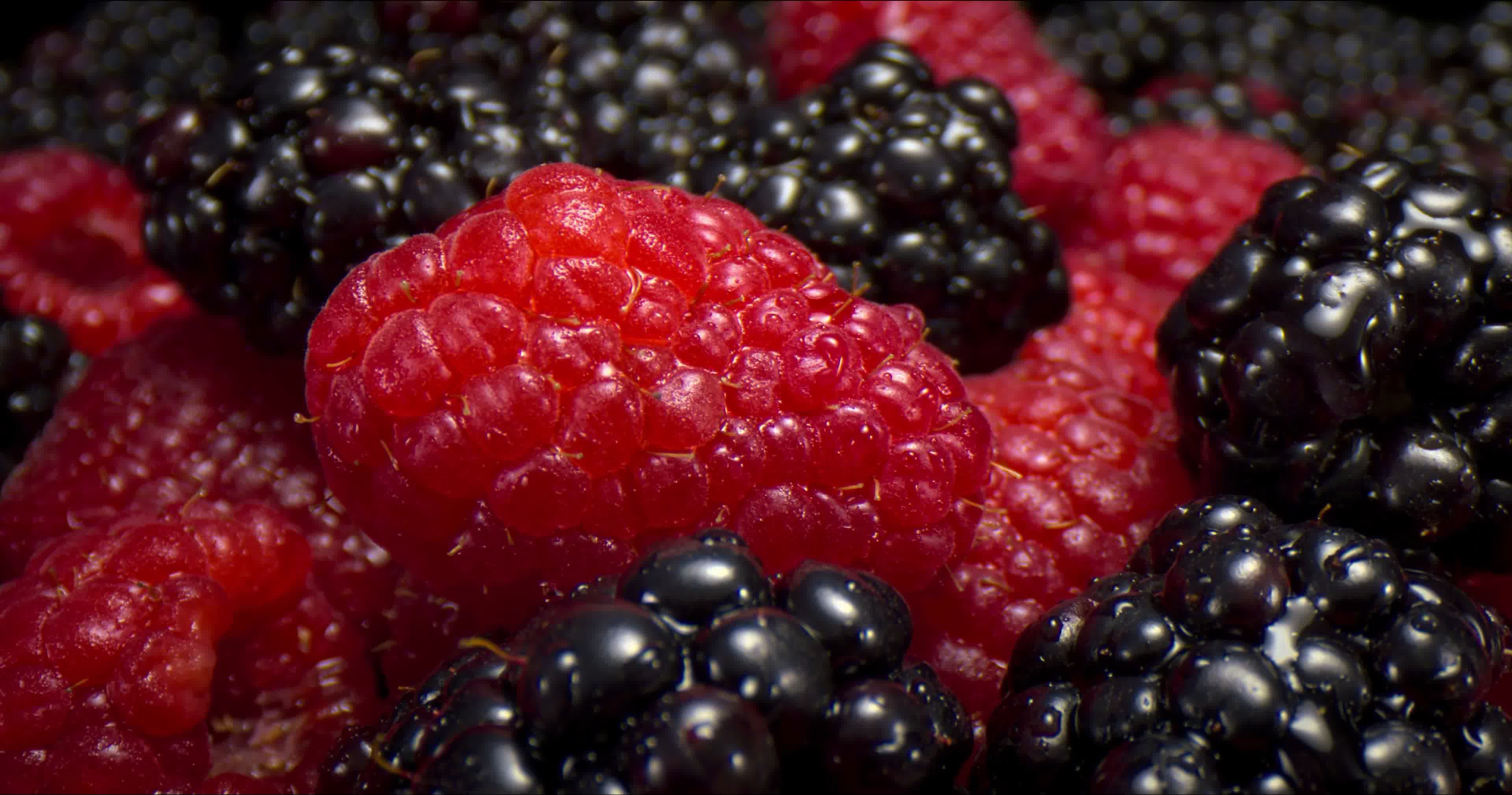 红树莓，黑莓，水果微距