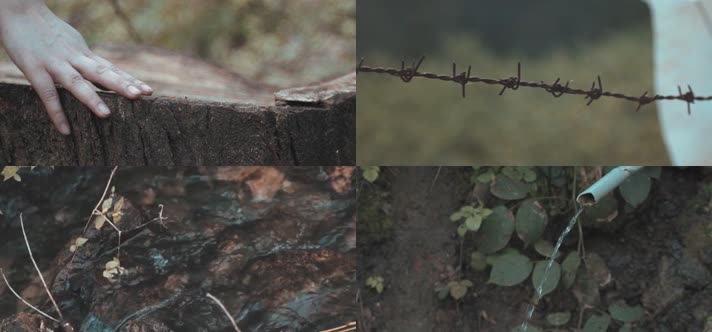 感受聆听大自然