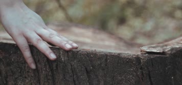 感受聆听大自然