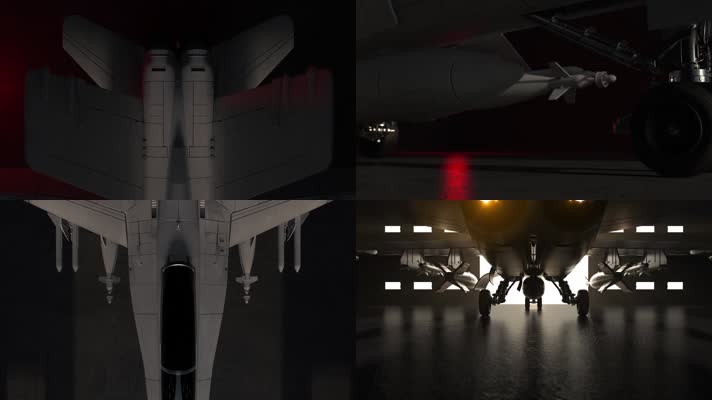 迪拜航展 军用飞机 战斗机 特技表演 