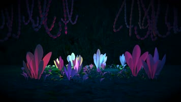 夜晚魔法丛林发光植物 夜晚魔法丛林发光植物