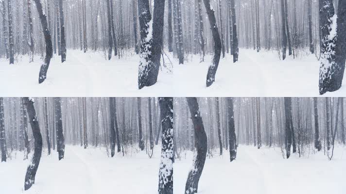 森林下雪徒步前行慢镜头