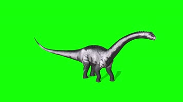 长颈龙，多角度 ，前侧背面顶拍