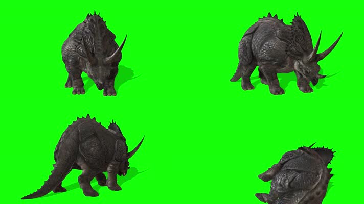 三角龙，多角度 ，前侧背面顶拍