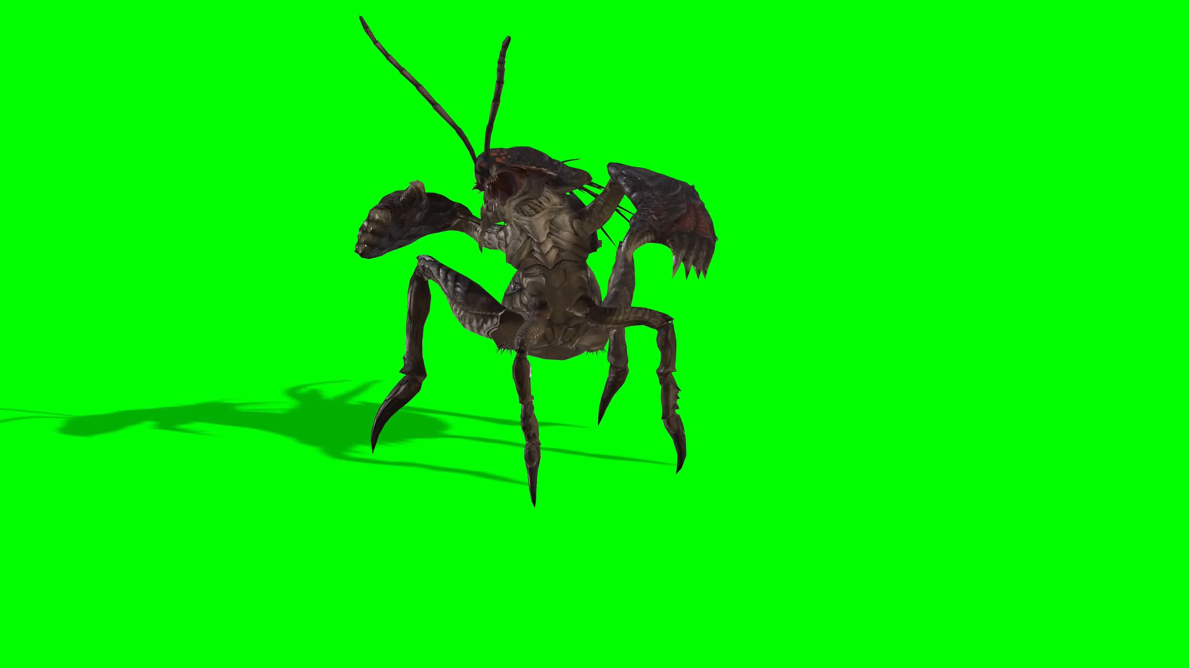 怪物怪兽多视角，前侧背面顶拍