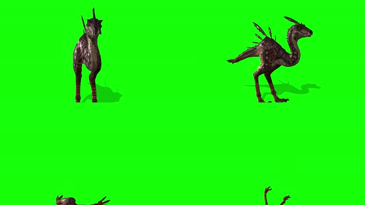 恐龙多角度 ，前侧背面顶拍