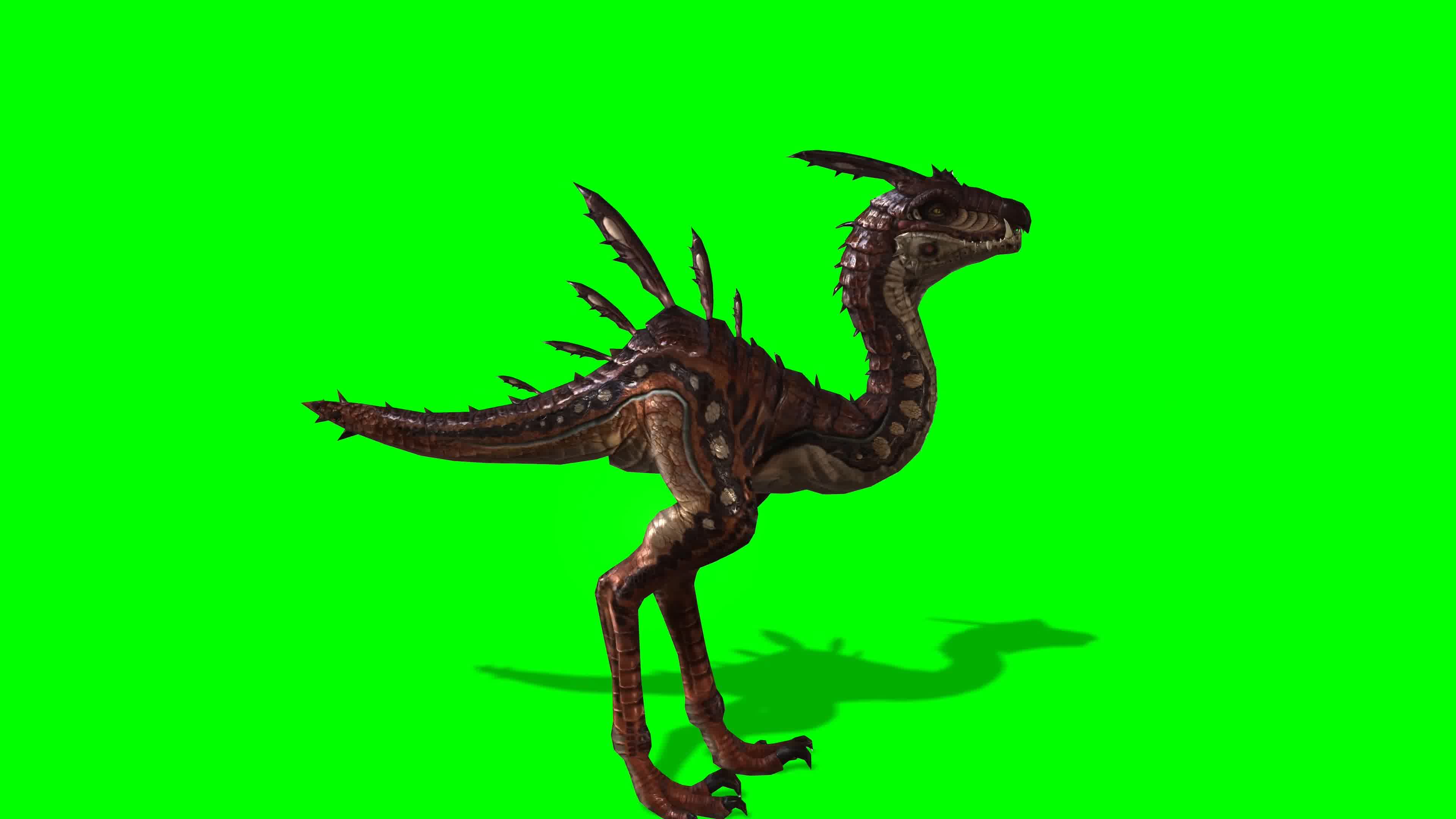 恐龙多角度 ，前侧背面顶拍