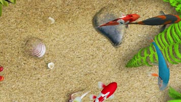 3D锦鲤地面天幕投影