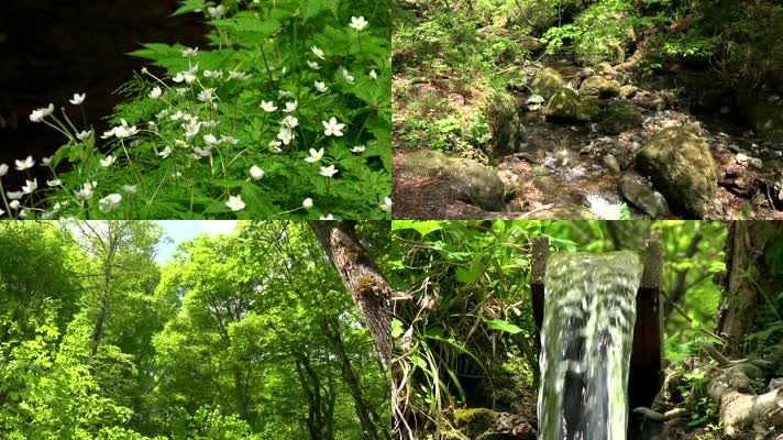 唯美自然 青山绿水