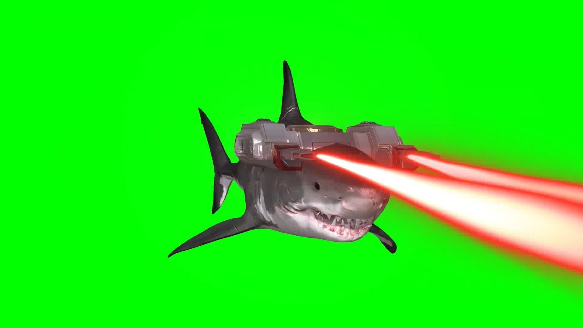 激光鲨鱼多角度，侧前后顶拍