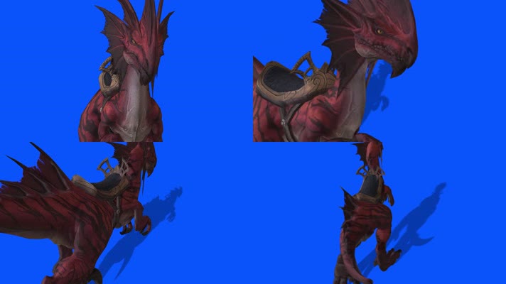 恐龙猛禽，多角度