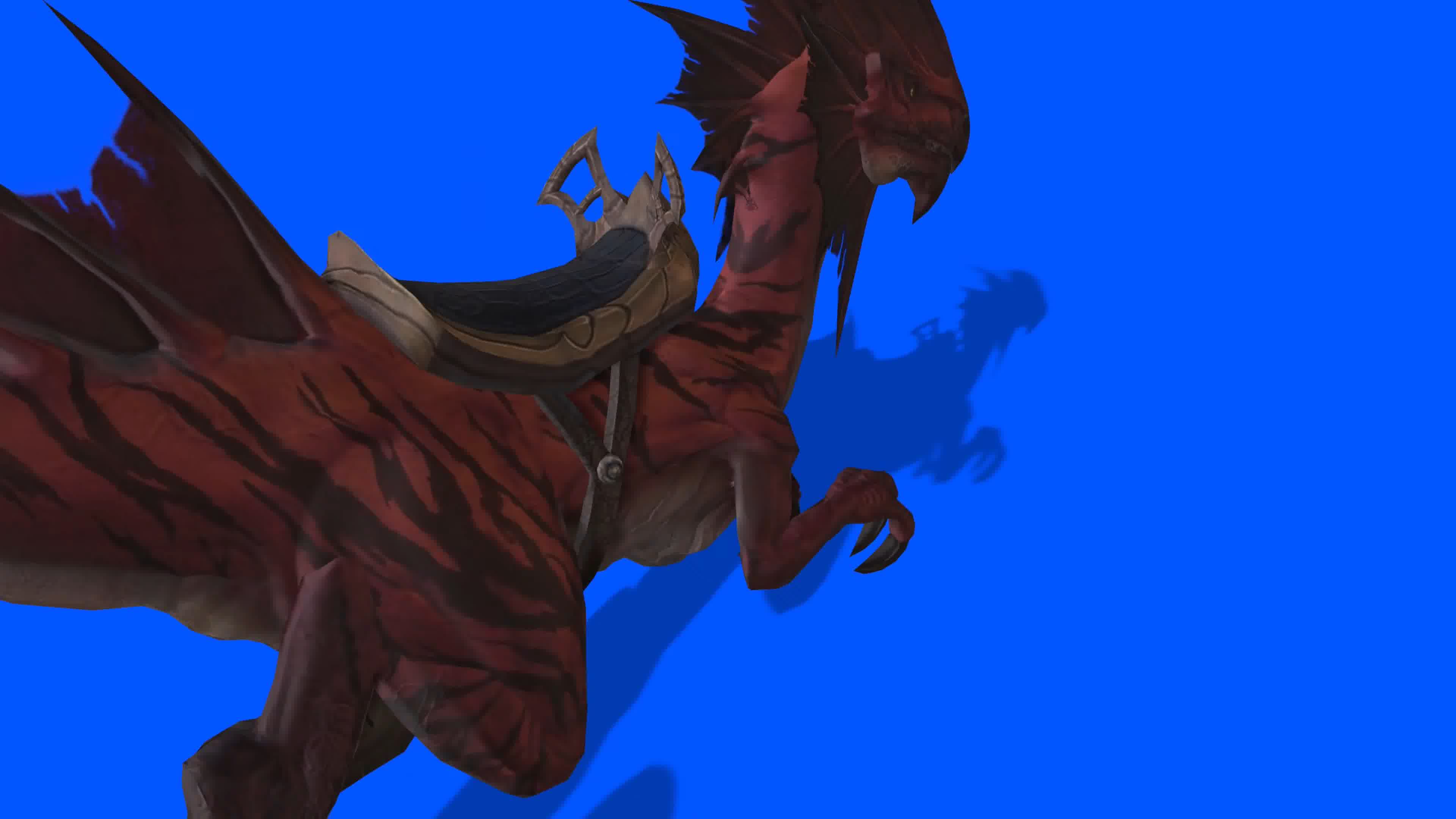 恐龙猛禽，多角度