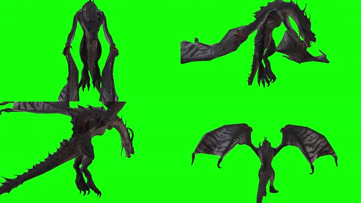 飞龙多视角，前后侧顶拍