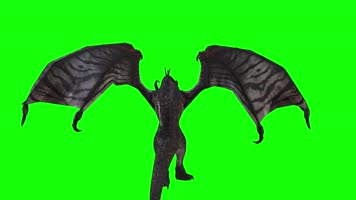 飞龙多视角，前后侧顶拍