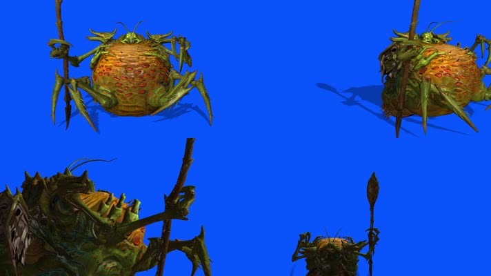 怪物树懒，多视角，侧前后上