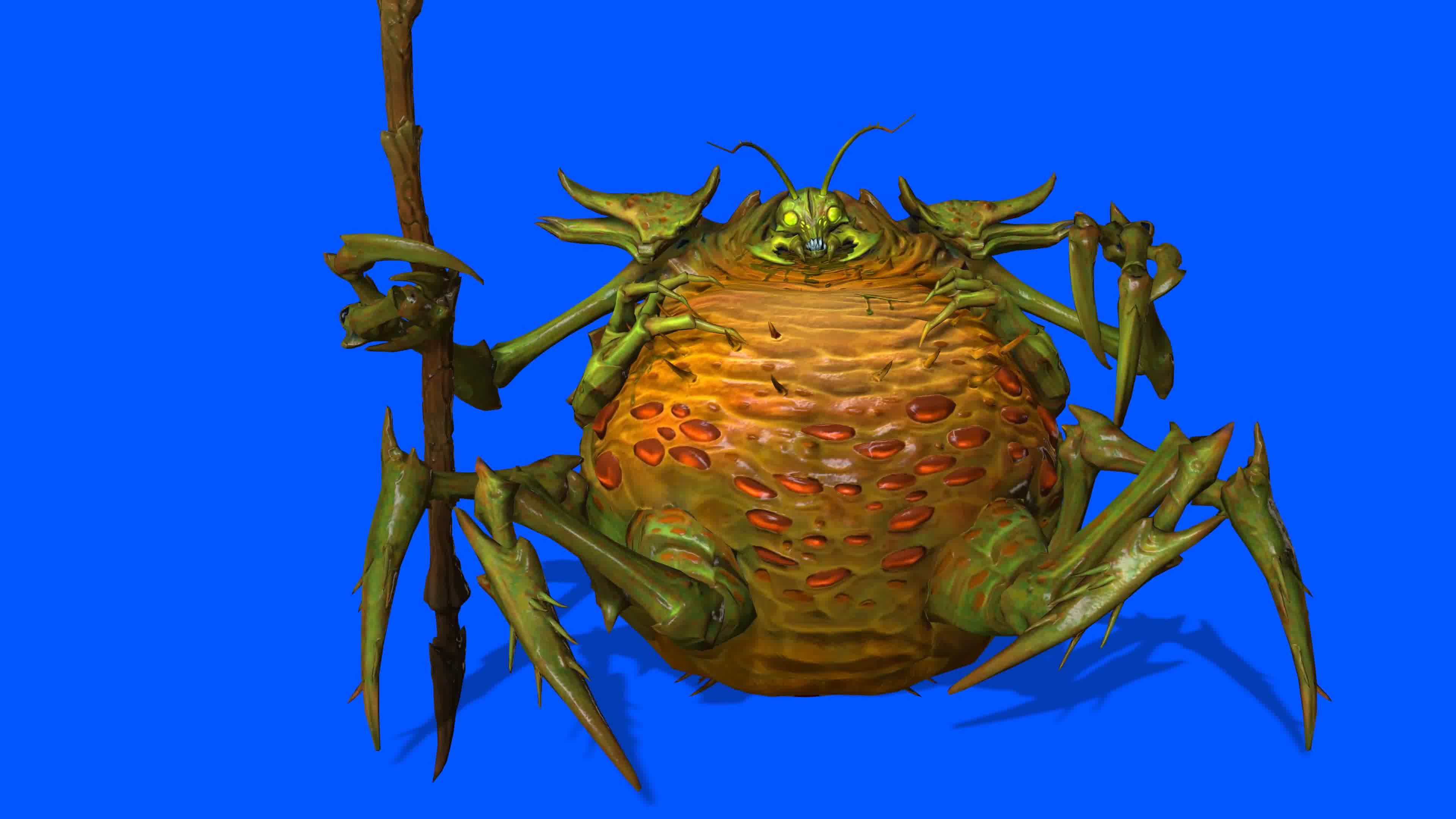 怪物树懒，多视角，侧前后上