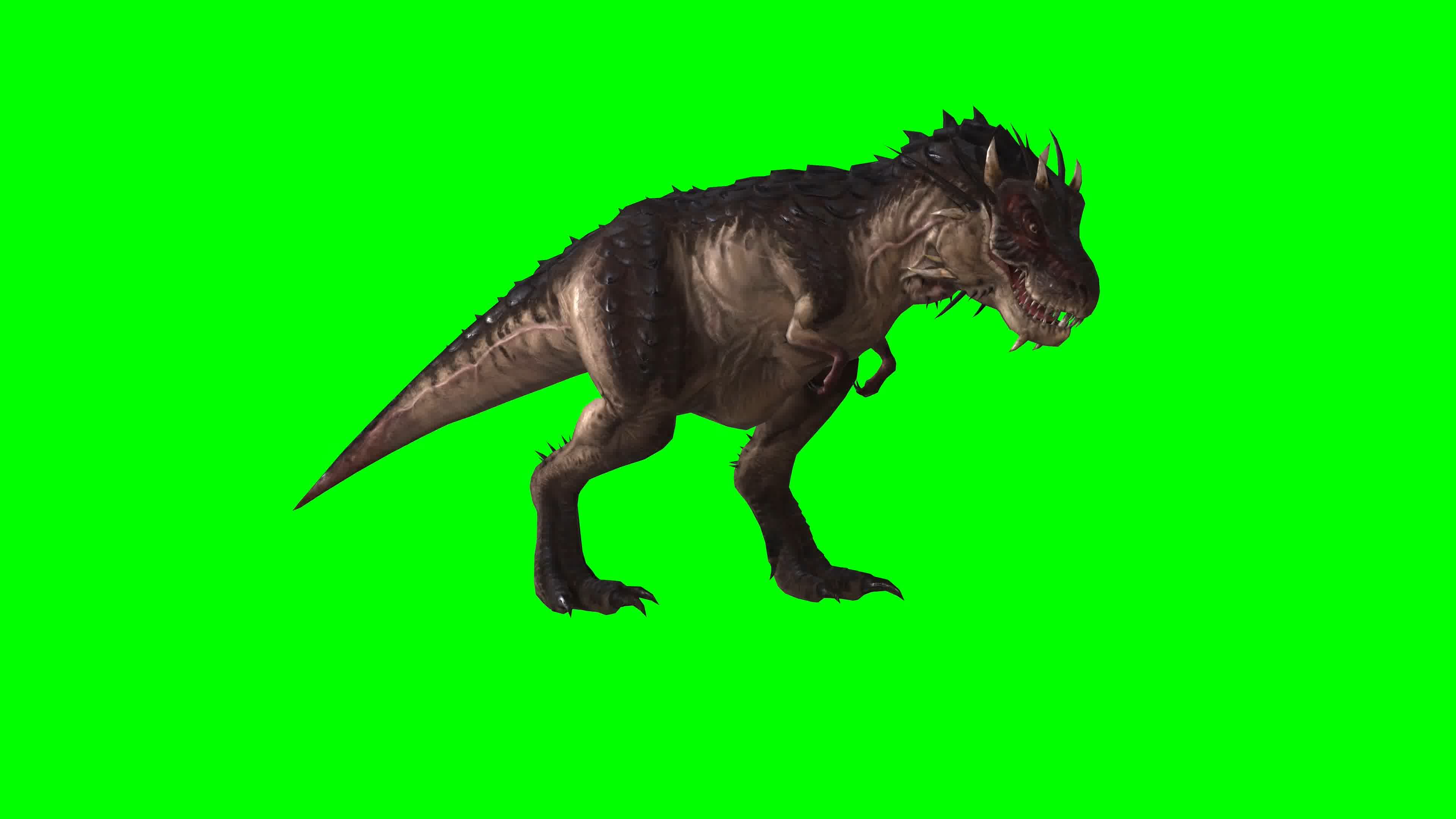 恐龙，多视角，侧前后上