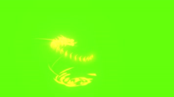 神龙龙族，变身特效