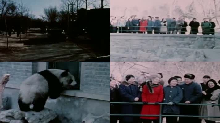 1972北京动物园尼克松总统夫人和熊猫滚滚