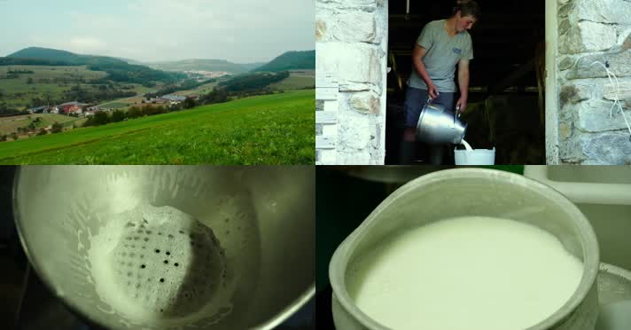 欧洲农场牧场奶农倒牛奶