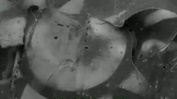 1965年北京市民参观被击落的U2高空侦察机