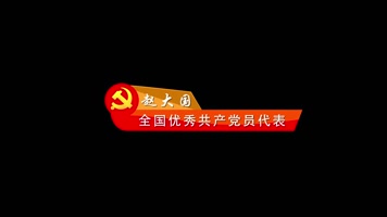 党政党徽人名条字幕条 党政党徽人名条字幕条