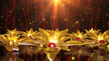 梦幻花瓣隧道穿梭歌舞背景