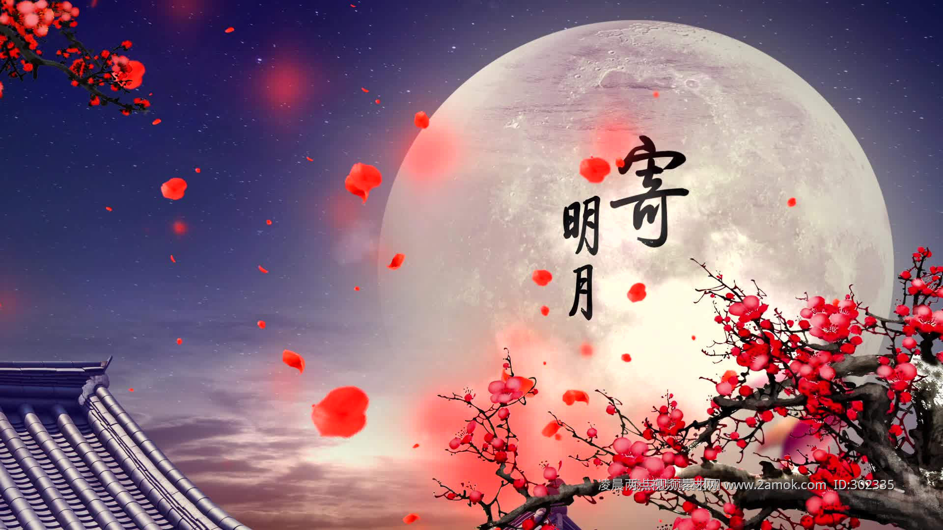 【寄明月】给外国友人跳中国风舞蹈寄明月_哔哩哔哩_bilibili