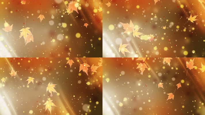 【4k】唯美枫叶背景循环