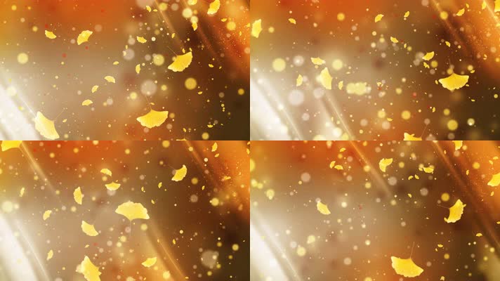 【4k】唯美银杏叶