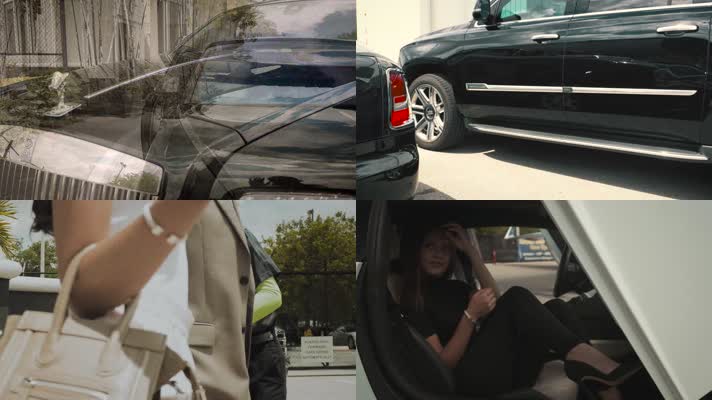 香车美女，私人飞机，富豪生活