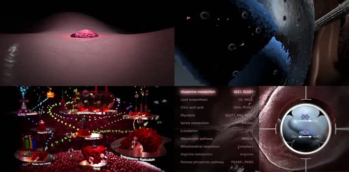 人体癌细胞的代谢途径3D医疗动画演示